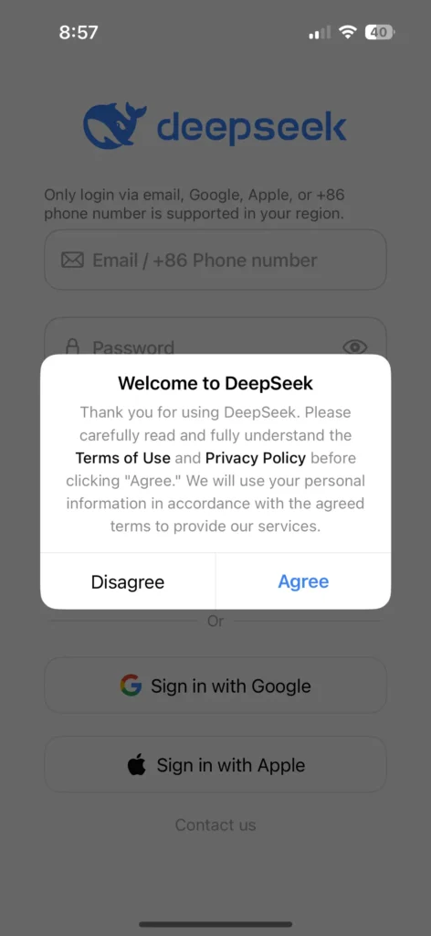 DeepSeek 환영 화면